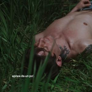 Rkomi — apnea da un po&#039;. cover artwork