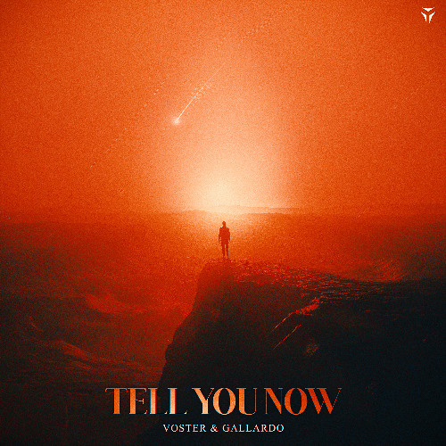 Voster &amp; Gallardo — Tell You Now cover artwork
