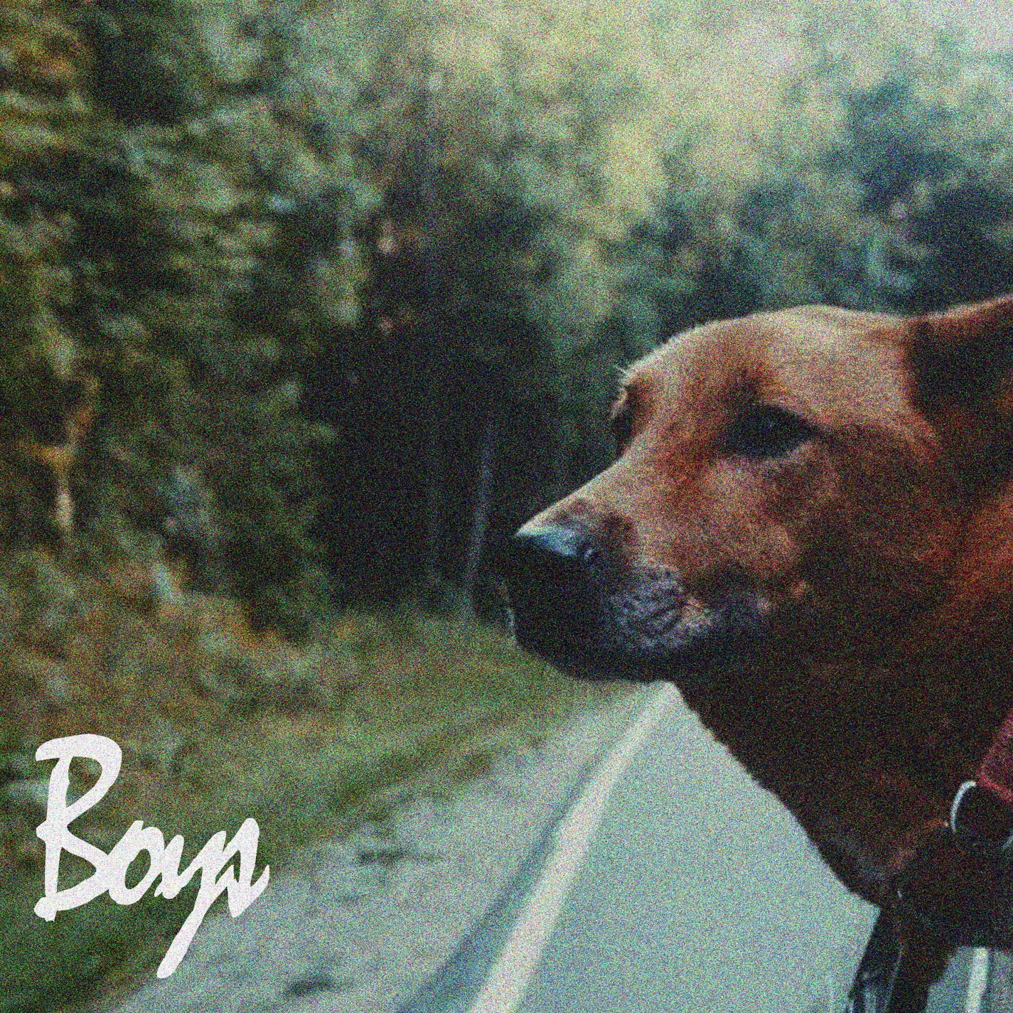 Indigo De Souza — Boys cover artwork