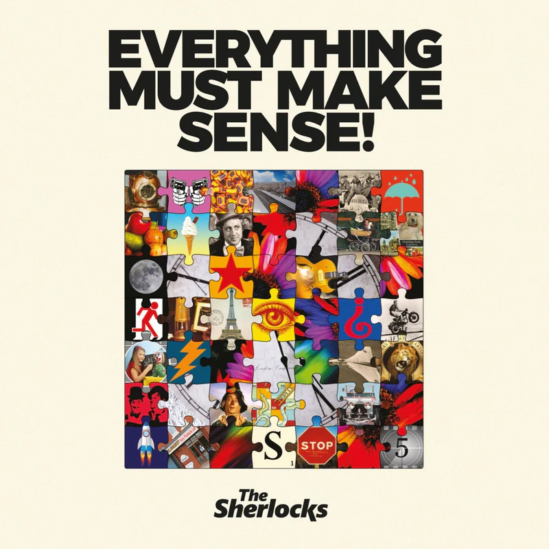 The Sherlocks Everything Must Make Sense! cover artwork