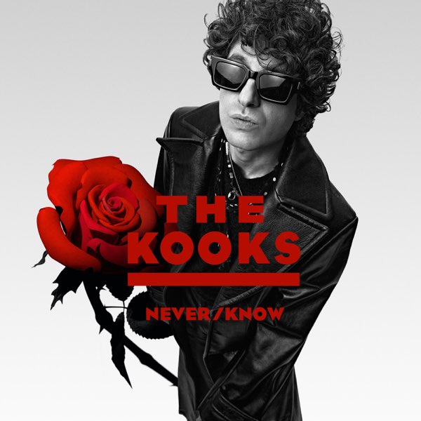 The Kooks Never/Know cover artwork