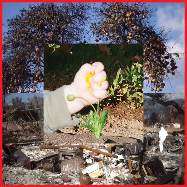 DIIV — Return of Youth cover artwork