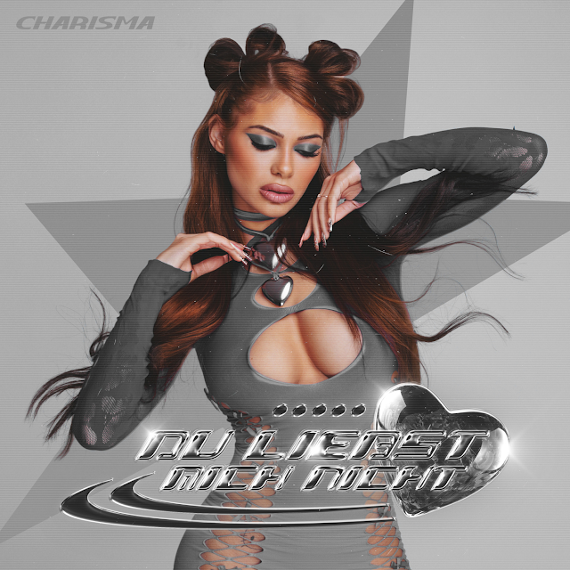 Charisma — Du liebst mich nicht cover artwork