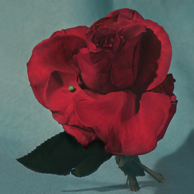 Metz Up On Gravity Hill cover artwork
