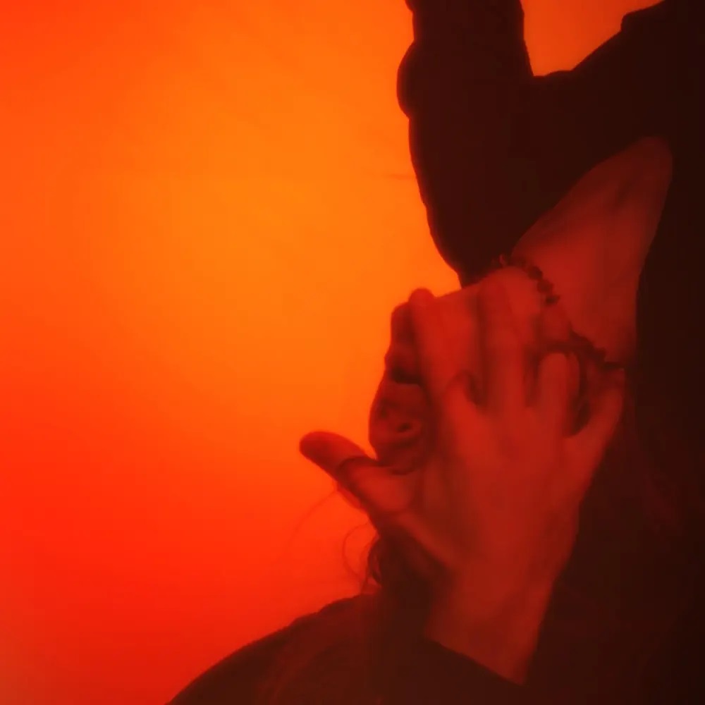 Mėlyna — Meilės Nebuvo cover artwork