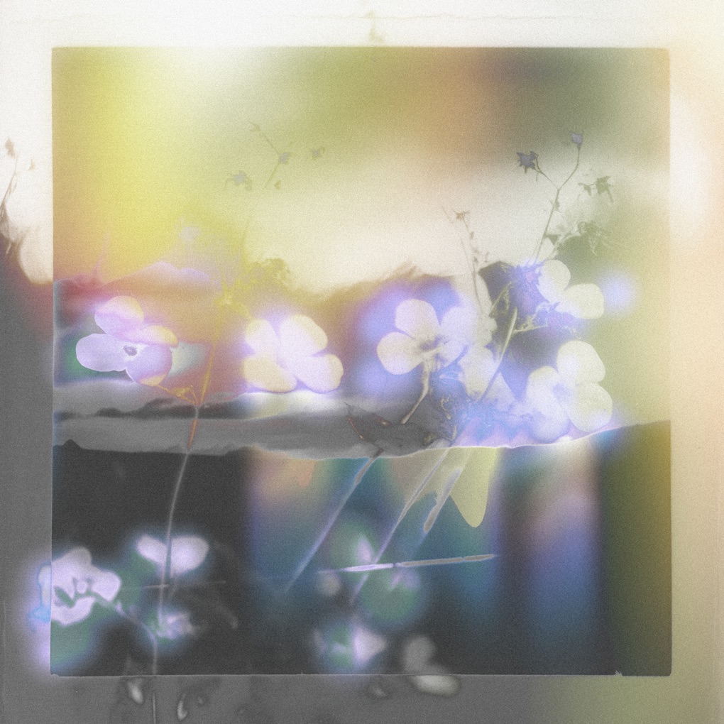gyrofield — Mother cover artwork