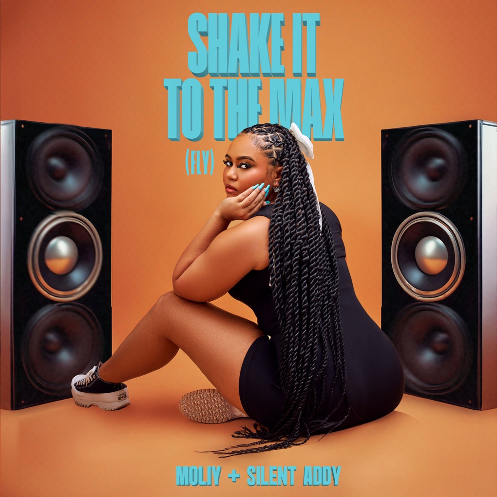 MOLIY & Silent Addy — Shake It To The Max (FLY) cover artwork