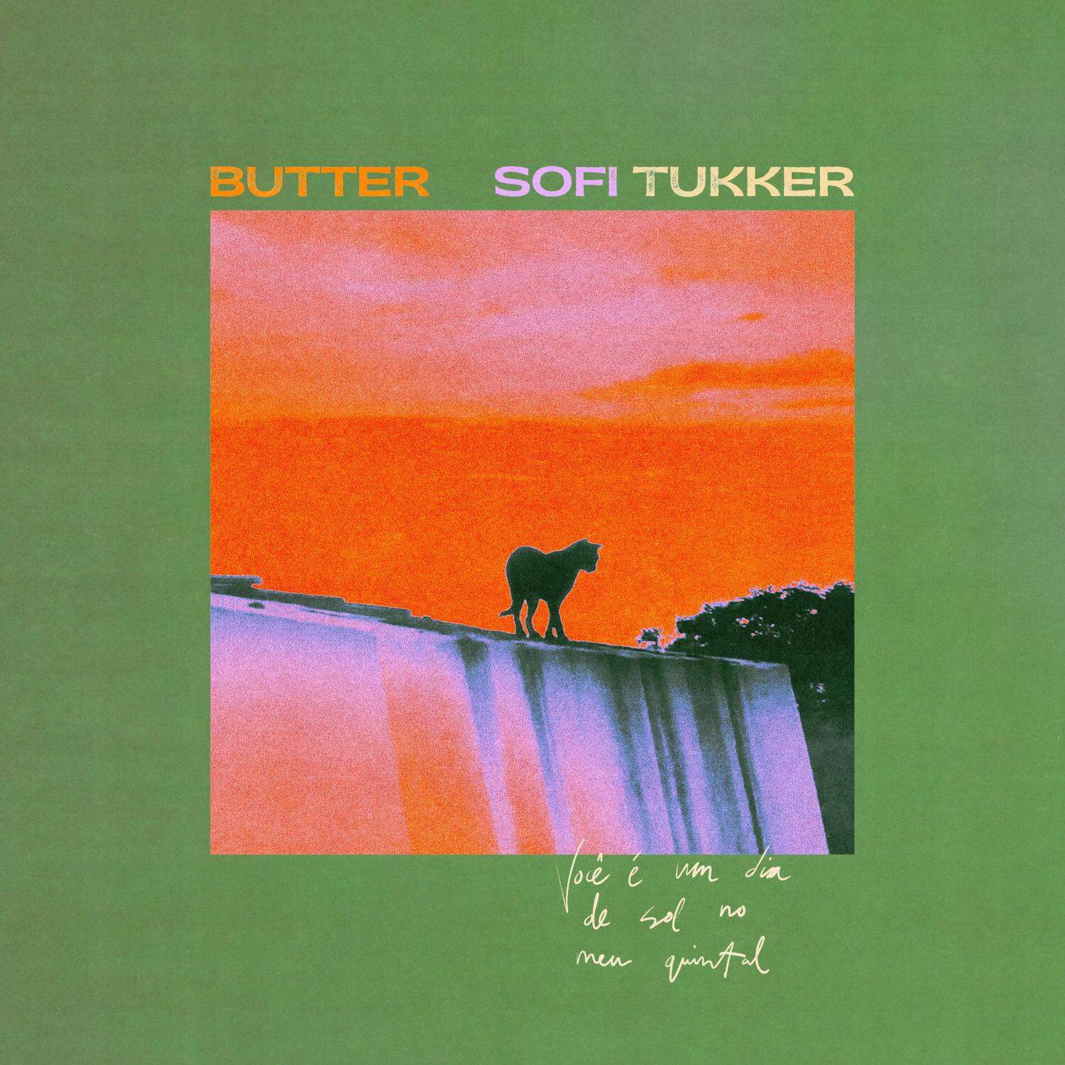 Sofi Tukker featuring Liniker — Intensity cover artwork