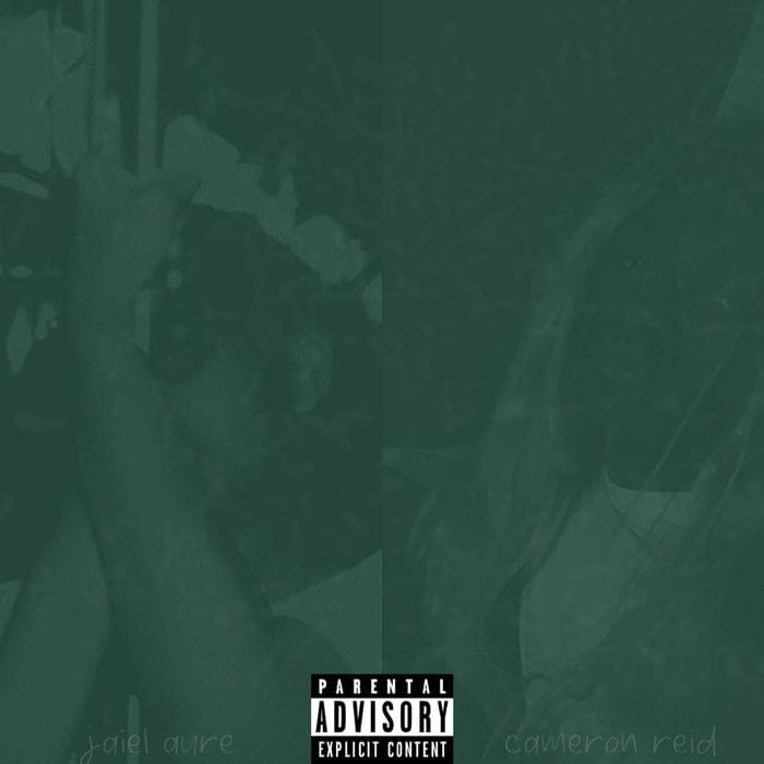 Cameron Reid & jaiél aure — lovin on him (Remix) cover artwork