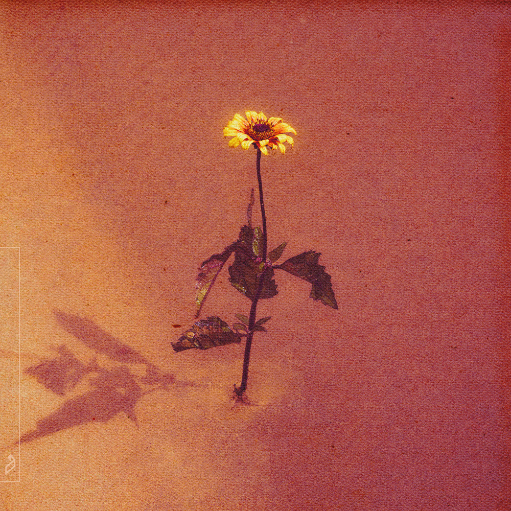 anamē & Lydmor — Astronauts cover artwork