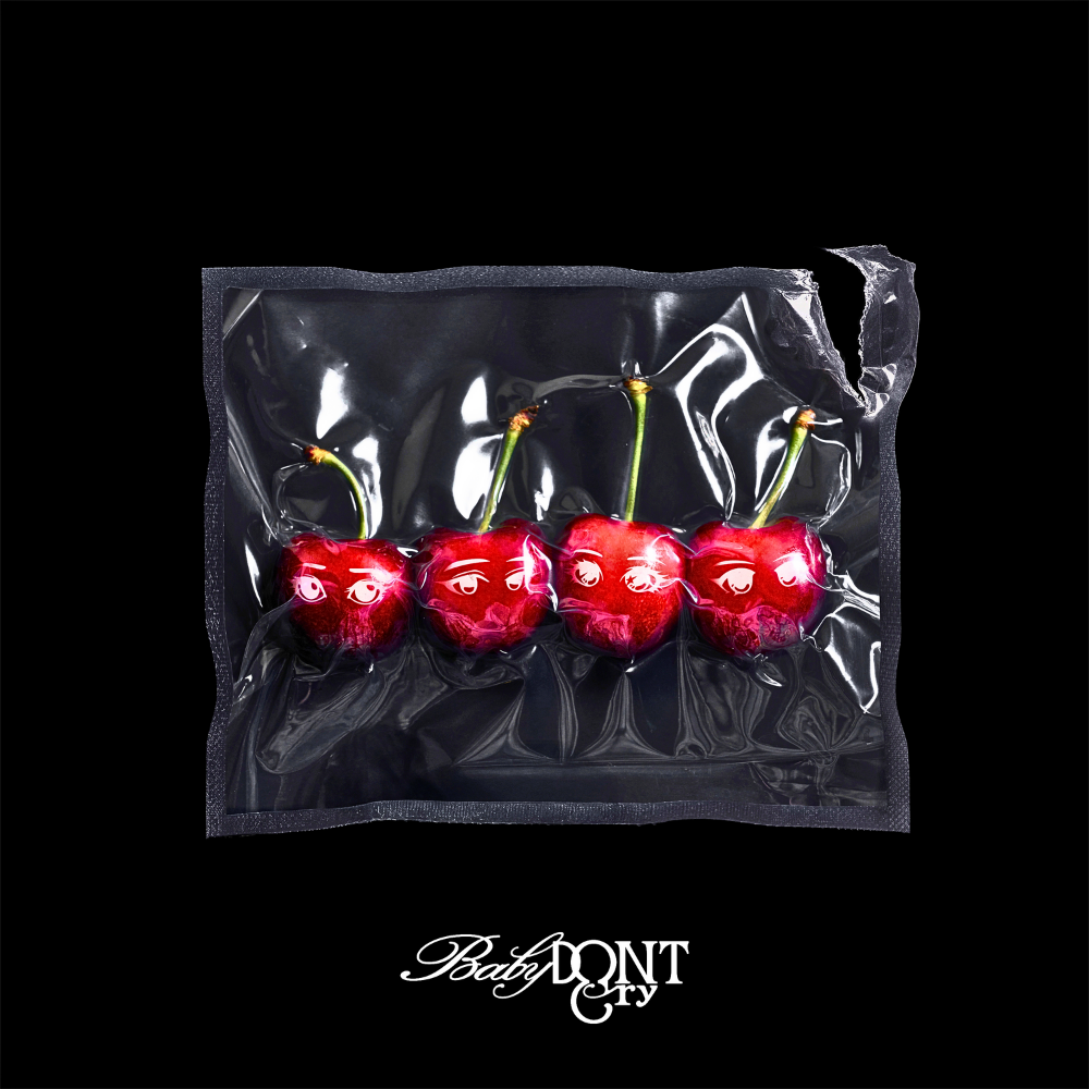 Baby DONT Cry — Bet You&#039;ll Regret It cover artwork