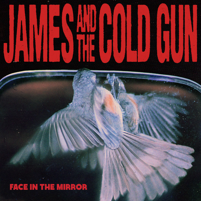 James and the Cold Gun — Above The Lake cover artwork