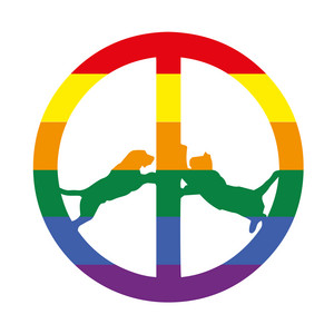 Hype Williams — Rainbow Edition cover artwork