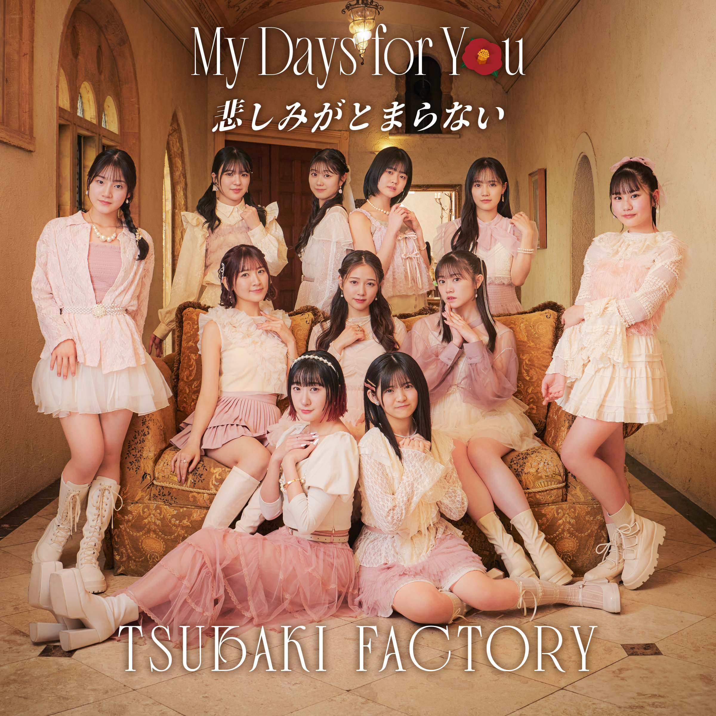 Tsubaki Factory My Days for You / Kanashimi ga Tomaranai cover artwork