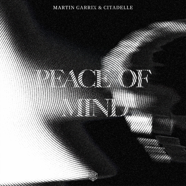 Martin Garrix & Citadelle — Peace Of Mind cover artwork