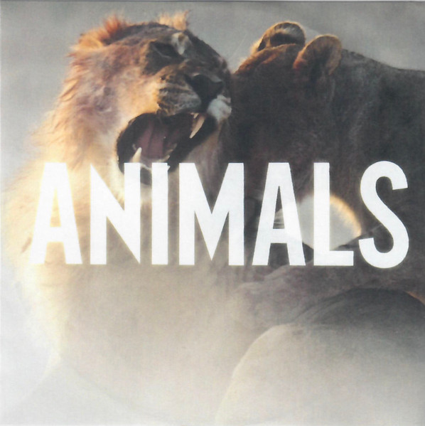 Maroon 5 — Animals cover artwork