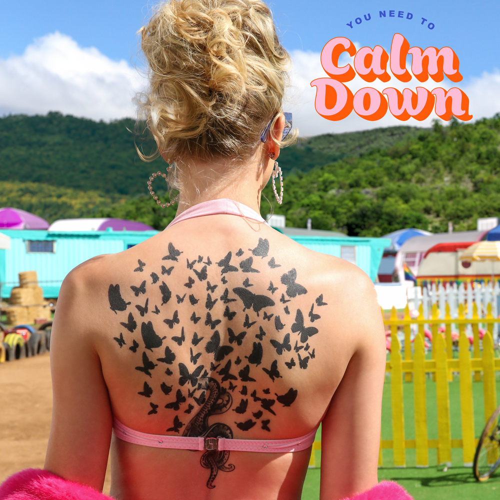 Taylor Swift — You Need to Calm Down cover artwork