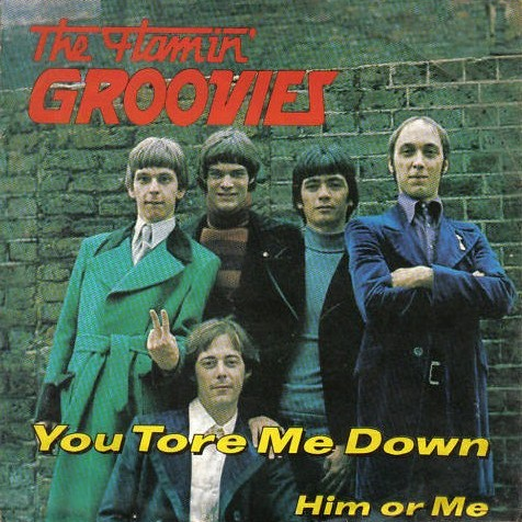 Flamin&#039; Groovies — You Tore Me Down cover artwork