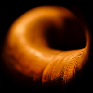 Venere Vai Venus — Ciúmes cover artwork