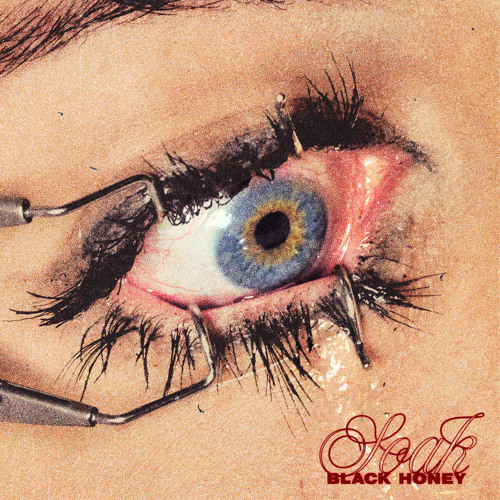 Black Honey — Insulin cover artwork