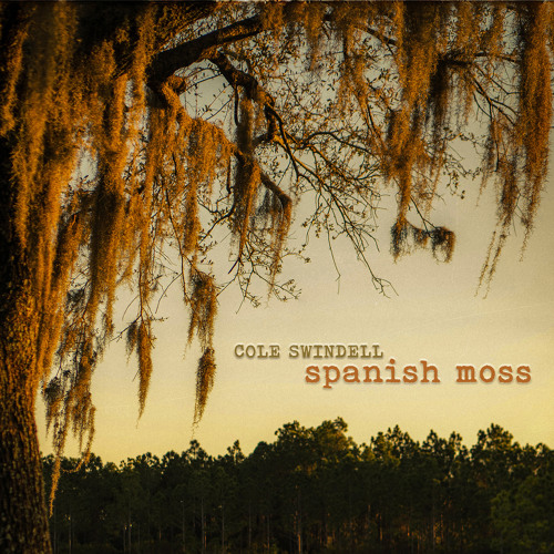 Cole Swindell Spanish Moss cover artwork