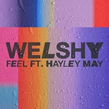 Welshy featuring Hayley May — Feel cover artwork