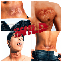 Wild Wild — Boiler Room cover artwork