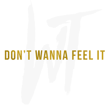 Wild Things — Don't Wanna Feel It cover artwork