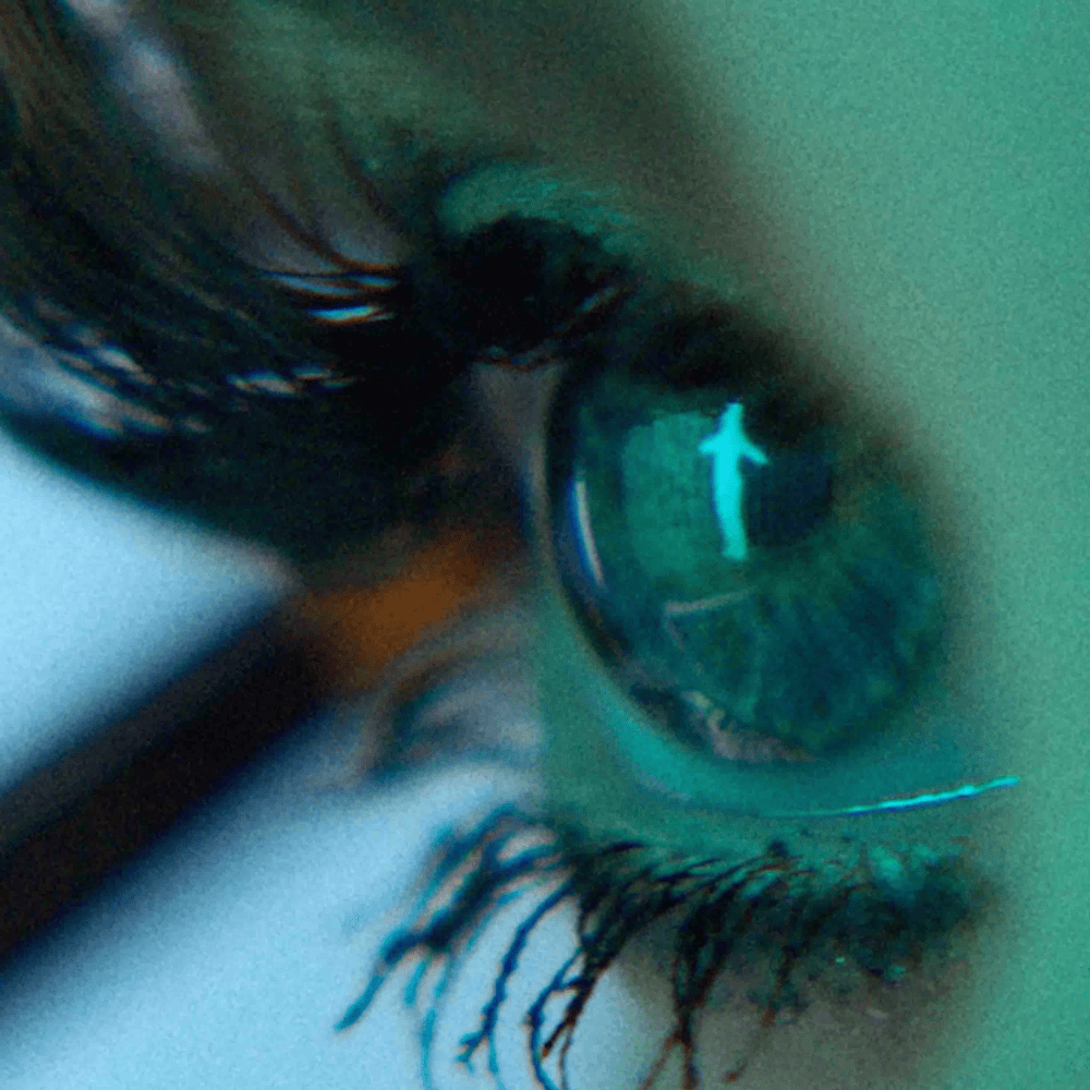 Jessica Shy — Vis Vien cover artwork