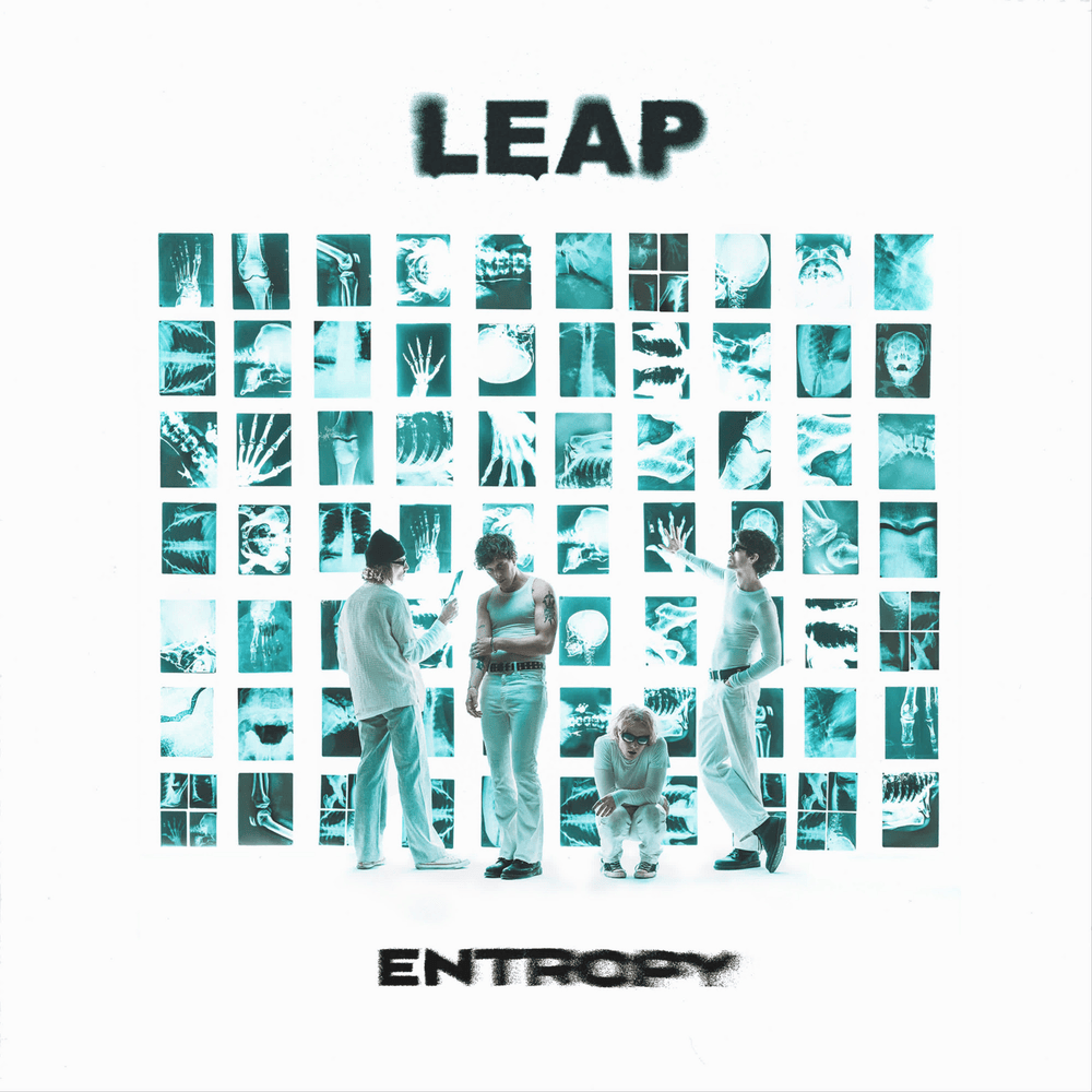 LEAP Entropy cover artwork