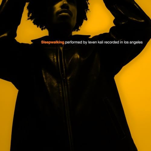 Leven Kali — Sleepwalking cover artwork