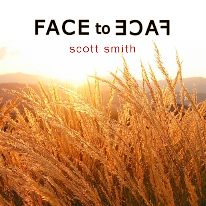 Scott Smith — The Vision cover artwork