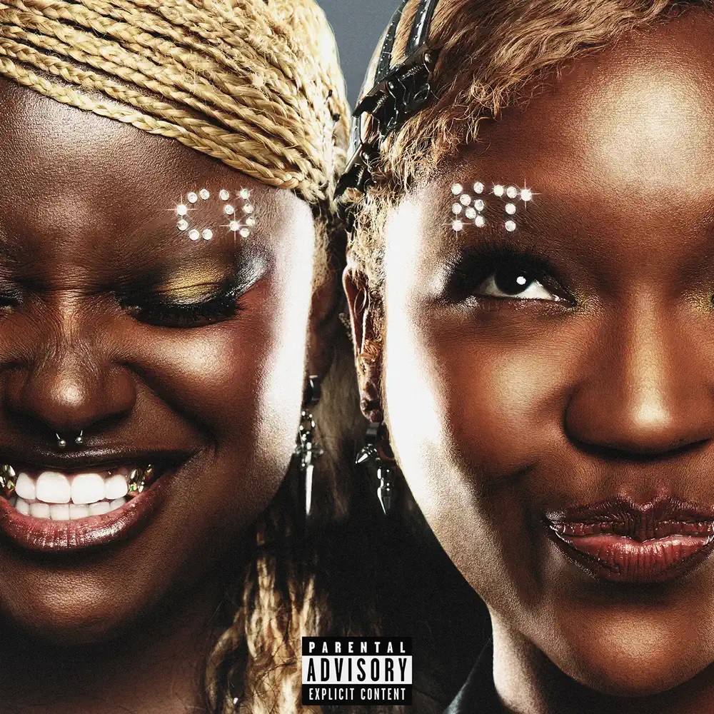 Flyana Boss — C*NT cover artwork