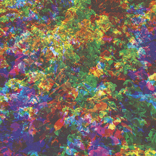 Caribou Can&#039;t Do Without You cover artwork
