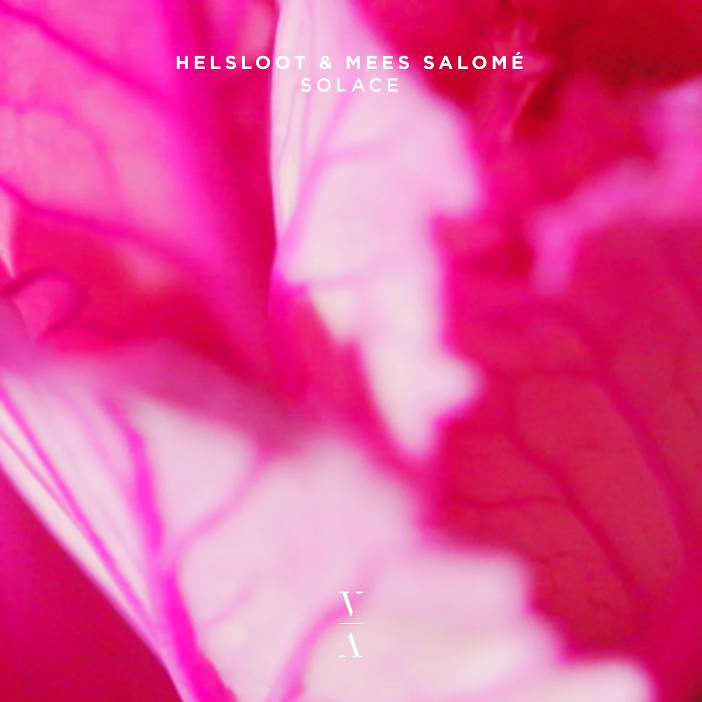 Helsloot & Mees Salomé — Solace cover artwork