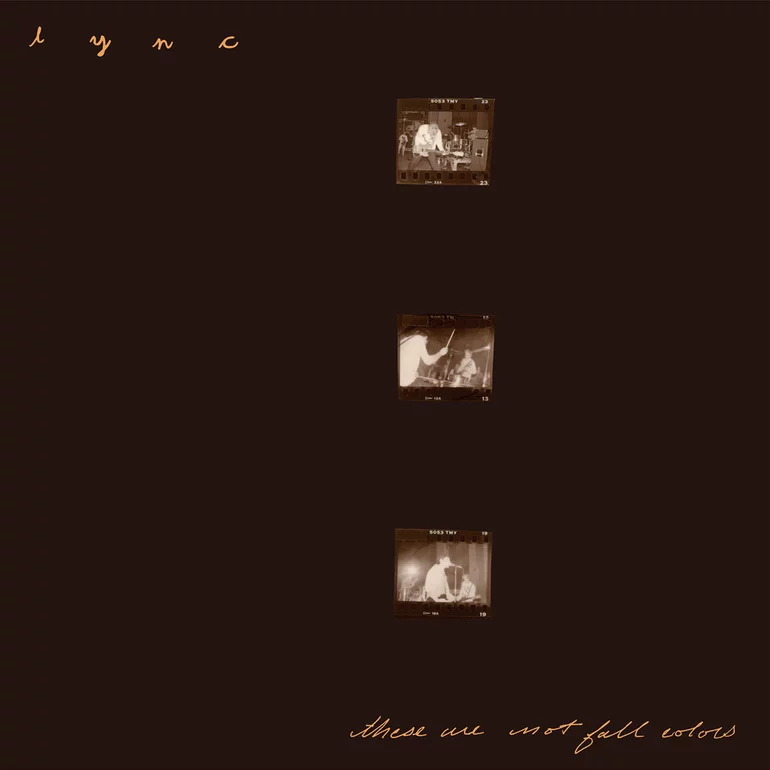 Lync These are not Fall colors cover artwork