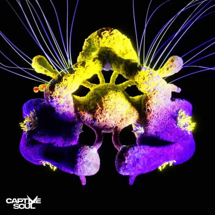 TH;EN & Carlo Whale — Fragments of Light cover artwork