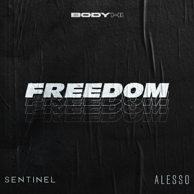 Sentinel & Alesso — Freedom cover artwork