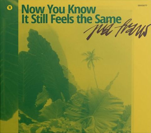 Pia Fraus Now You Know It Still Feels the Same cover artwork