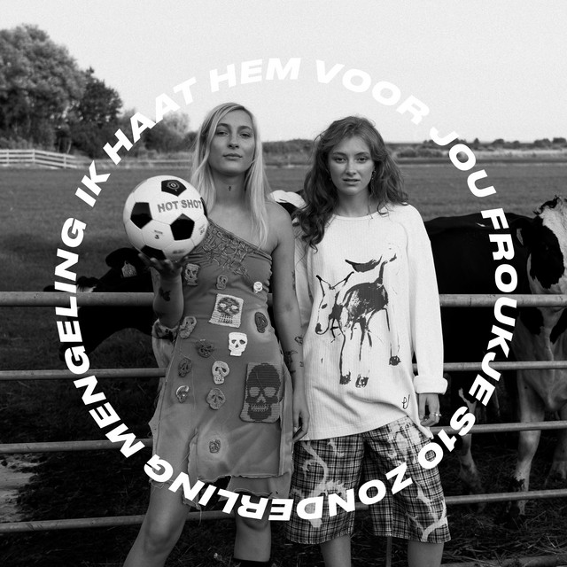Froukje, S10, & Zonderling — Ik Haat Hem Voor Jou - Zonderling Mengeling cover artwork