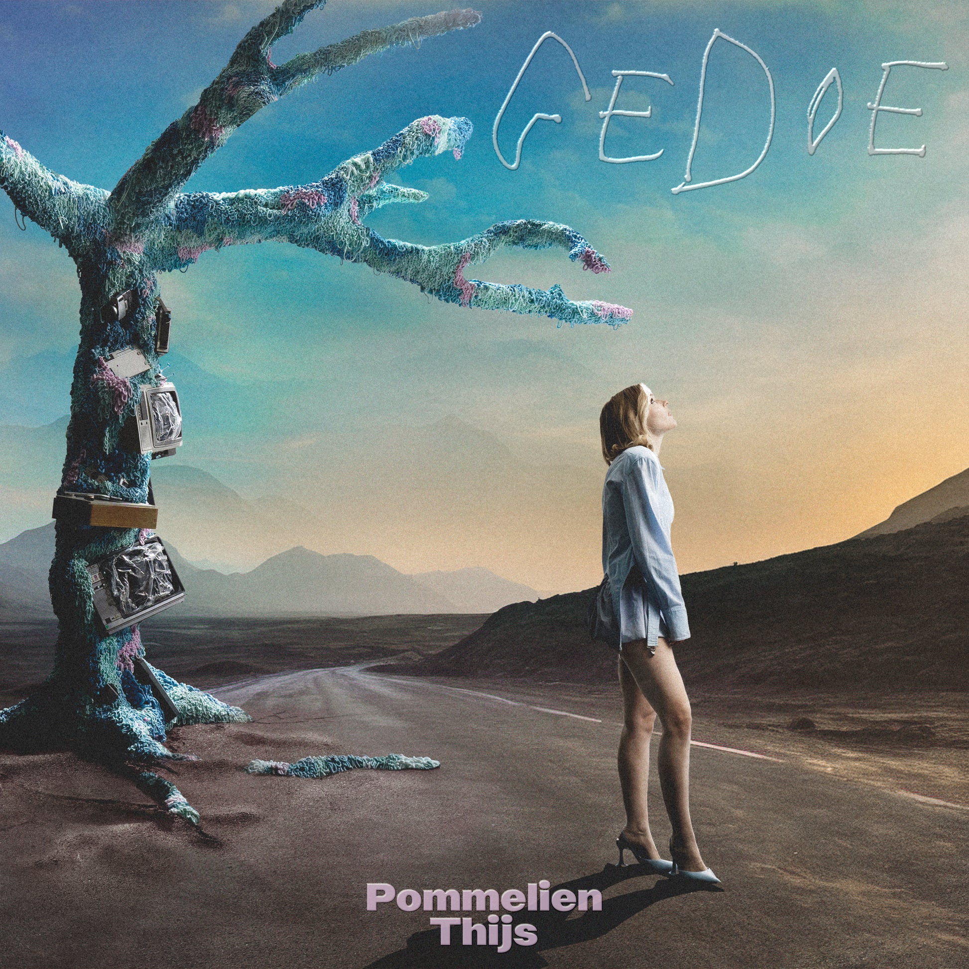 Pommelien Thijs Gedoe cover artwork