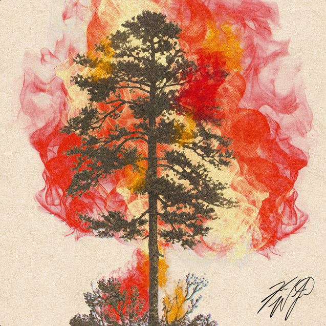 Koe Wetzel — Surrounded cover artwork