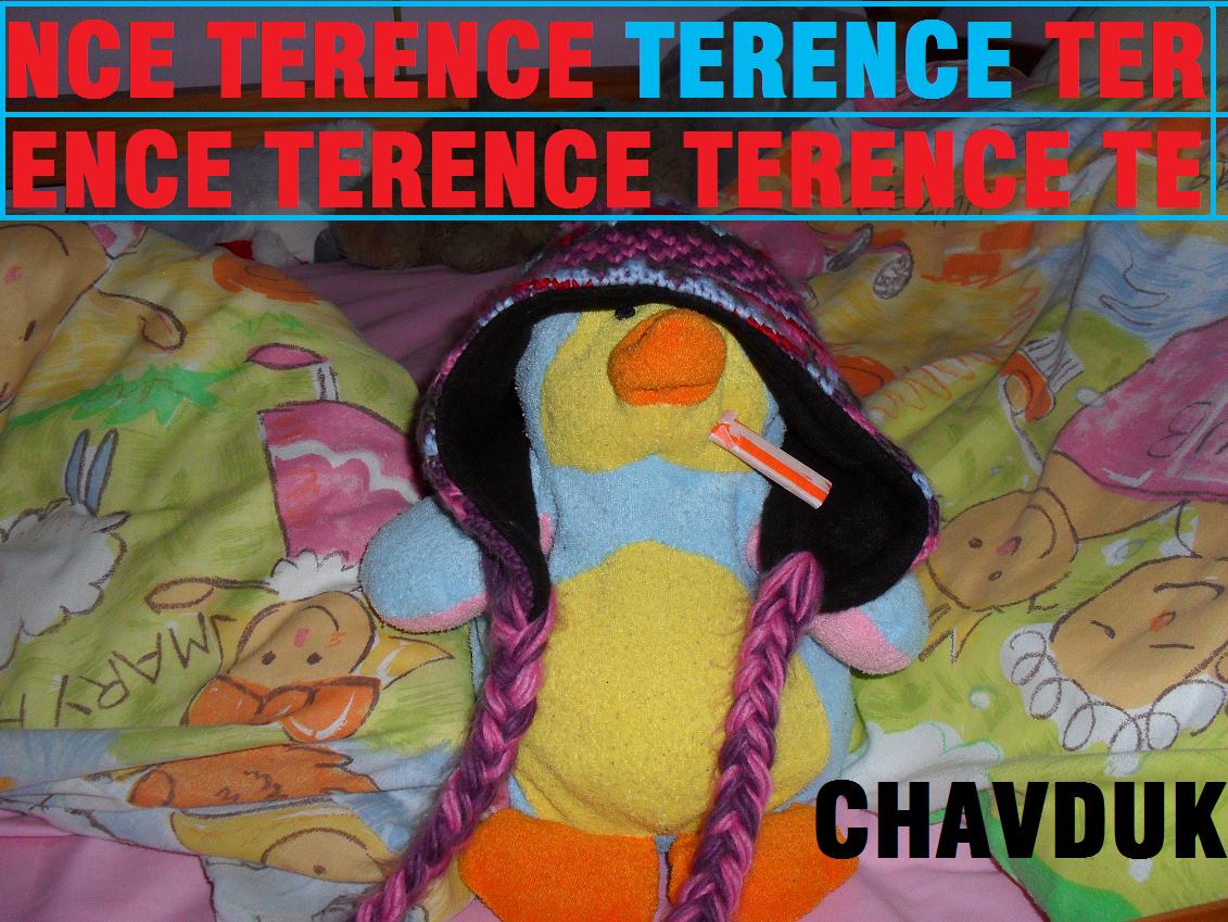 DJ Moose ft. featuring Terence Squishbeak Slide (Duckhall Radio Edit) cover artwork