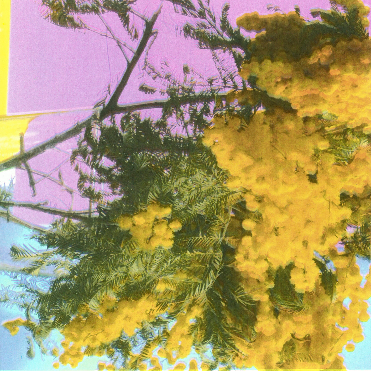 Four Tet Into Dust (Still Falling) cover artwork
