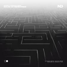 Lynnic featuring ItsArius — Maze of memories cover artwork