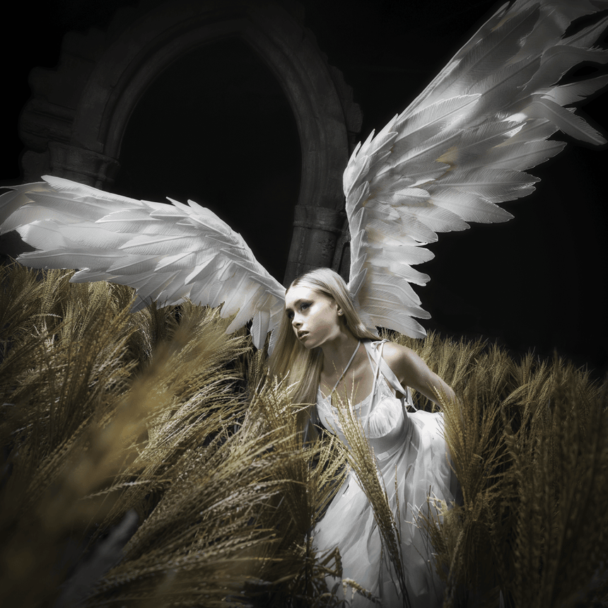 Erin LeCount — Godspeed cover artwork