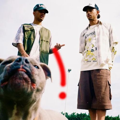 Rizzle Kicks featuring Rachel Chinouriri — Follow Excitement! cover artwork