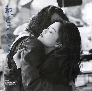 王菲 執迷不悔 cover artwork