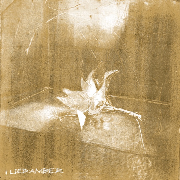 Keo — I Lied, Amber cover artwork