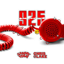 Sammy Virji, Chris Lake, & RoRo — 925 cover artwork